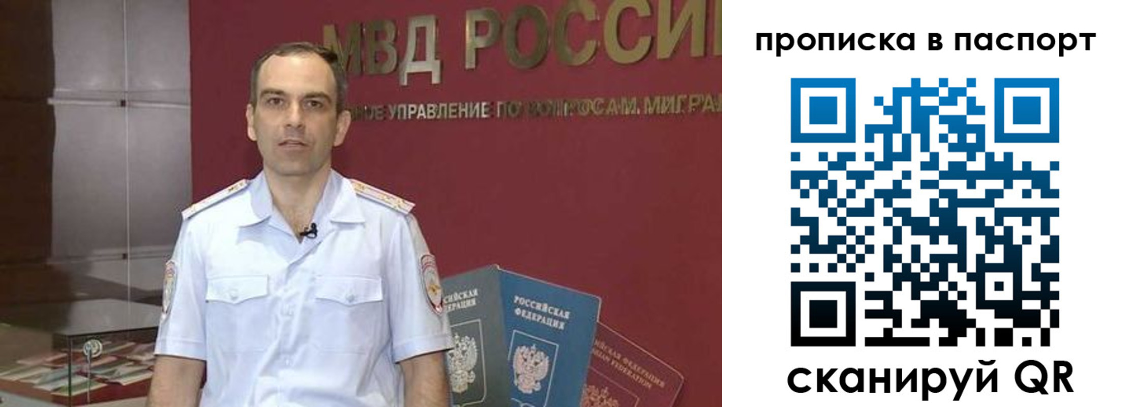 прописка поиск в Ржеве